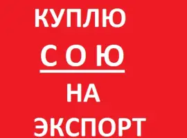 Зображення для оголошення Куплю Сою на Экспорт