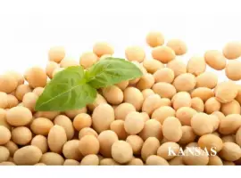 Зображення для оголошення Продам семена сои