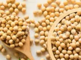 Зображення для оголошення Куплю СОЮ