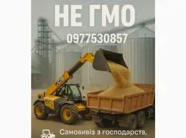 Зображення для оголошення Закуповуємо сою не гмо