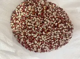 Зображення для оголошення Продам Фасоль Червона шапочка