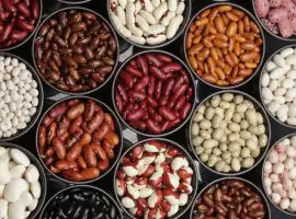 Зображення для оголошення Продам Фасоль/Квасоля в асортименті ОПТ
