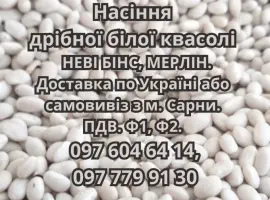 Зображення для оголошення Насіння квасолі НЕВІ БІНС