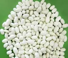 Зображення для оголошення Біла дрібна посівна квасоля на продаж