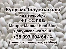 Зображення для оголошення Куплю квасолю білих сортів