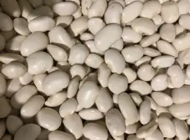 Зображення для оголошення Продам квасолю