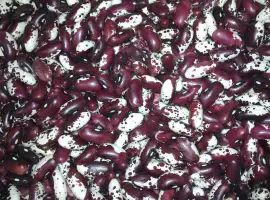 Зображення для оголошення ПРОДАМ квасоля ластівка