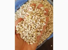 Зображення для оголошення Фасоль половинки