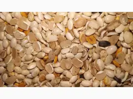 Зображення для оголошення Продам половинки квасолі