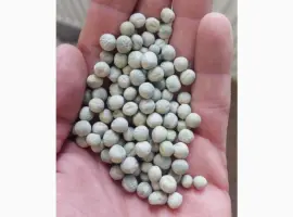 Зображення для оголошення Продам горох зелёный