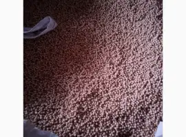 Зображення для оголошення Жовтозерний горох ЕСО