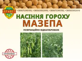 Зображення для оголошення Горох посівний