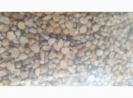 Зображення для оголошення Горох позакласний - відходи горохові