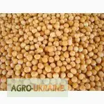 Зображення для оголошення Куплю горох