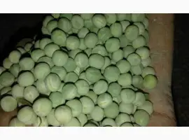 Зображення для оголошення Срочно куплю горох зеленый/ желтый
