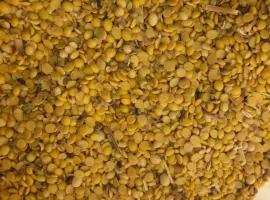 Зображення для оголошення Закуповую зерновідходи кукурудзи та половинки сої