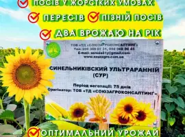 Зображення для оголошення Сортовий соняшник Синельниківський УльтраРанній (СУР)