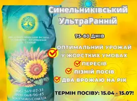 Зображення для оголошення Сортовий соняшник Синельниківський УльтраРанній (СУР)