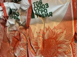Зображення для оголошення Насіння Гібриду Соняшника Купава ААА 335 7+ Під Гранстар