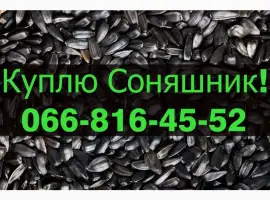 Зображення для оголошення Куплю СОНЯШНИК від виробника