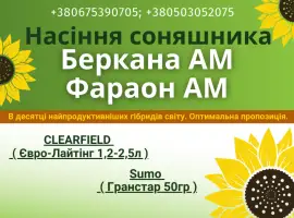 Зображення для оголошення Насіння соняшника. Доступні