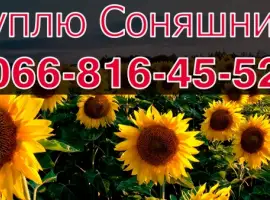 Зображення для оголошення Підприємство переробник запрошує до співпраці виробників Соняшника