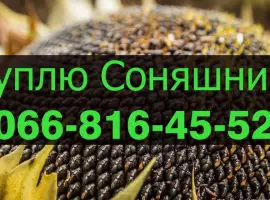 Зображення для оголошення Підприємство переробник