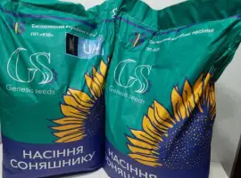 Зображення для оголошення Семена подсолнечника ПРИВАТ под гранстар