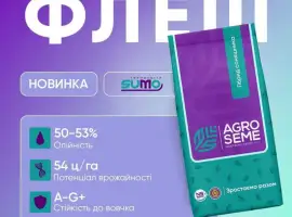Зображення для оголошення Насіння соняшнику гібрид Флеш безпосередньо від виробника