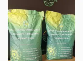 Зображення для оголошення Насіння сортового соняшника Сур