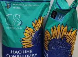 Зображення для оголошення Семена Подсолнуха Под Гранстар гибрид КОЗАК