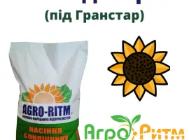 Зображення для оголошення Насіння соняшника гібрид Альдазор