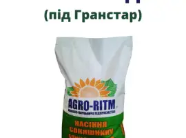 Зображення для оголошення Насіння соняшника Рекольд під гранстар