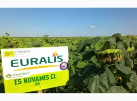 Зображення для оголошення Подсолнечник ЕС Новамис СЛ - Euralis