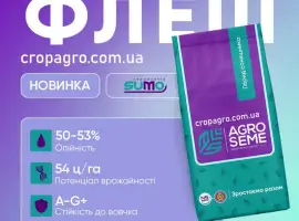 Зображення для оголошення Насіння Соняшника Флеш під гранстар