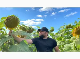 Зображення для оголошення Ультра ранній соняшник КАРДИНАЛ