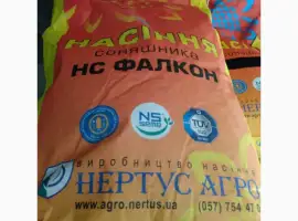 Зображення для оголошення Подсолнечник НС Фалкон (A- G+)