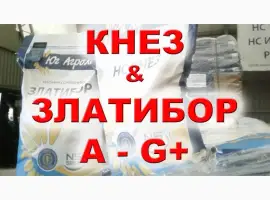 Зображення для оголошення Продам семена подсолнечника Нови Сад Златибор