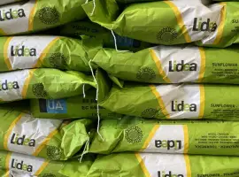 Зображення для оголошення Насіння соняшнику ЕС Белла - Lidea(A-G)