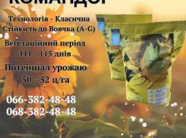 Зображення для оголошення Насіння соняшника КОМАНДОР 777 (Стандарт)(Екстра)