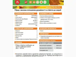 Зображення для оголошення Насіння соняшника Даглас (Екстра ) ( Екстра +) (Стандарт +) 2023 рік