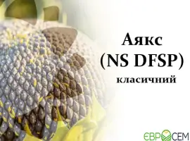 Зображення для оголошення Насіння соняшника Аякс