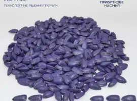 Зображення для оголошення Продам Соняшник Авалон-