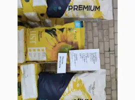 Зображення для оголошення Продам насіння соняшнику Авалон