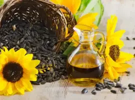Зображення для оголошення Компанія з Польщі закуповує насіння соняшнику сире очищене