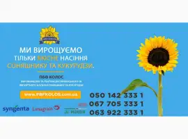 Зображення для оголошення Насіння виробника ПБФ "Колос"