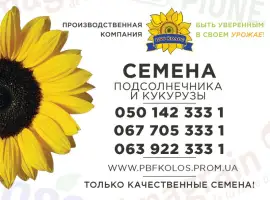 Зображення для оголошення Якісне насіння від виробника ПБФ «Колос»