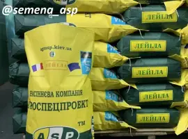 Зображення для оголошення Семена подсолнечника Лейла F1 от Производителя