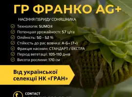 Зображення для оголошення Насіння соняшника під гранстар гібрид ГР Франко (105-110дн) Ціна від 3300грн/п.о