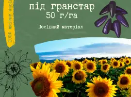 Зображення для оголошення Продам насіння соняшника під Гранстар (50г/га)
